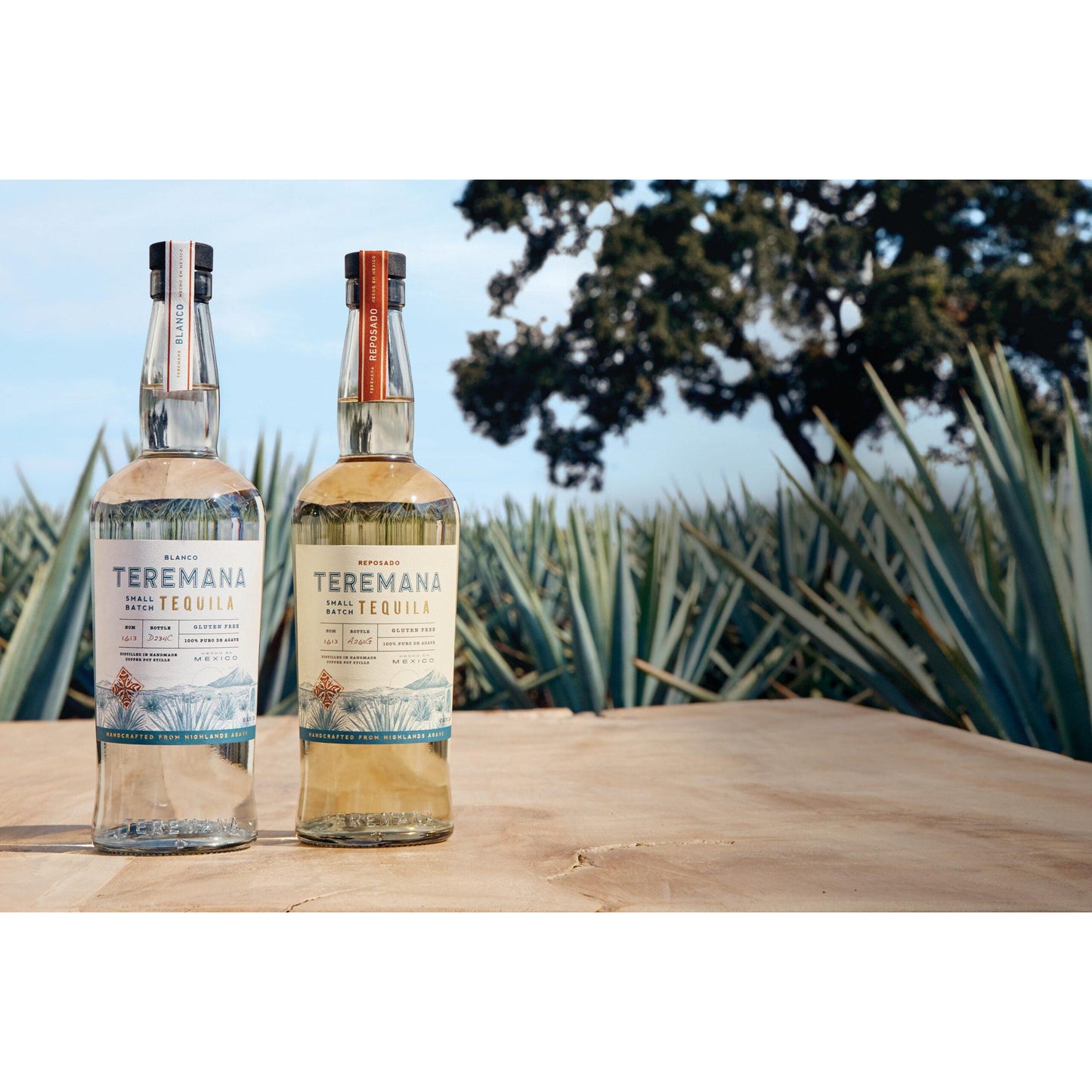 Teremana Blanco Tequila | DWAYNE "THE ROCK"