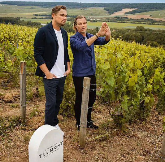 Leonardo Dicaprio - Champagne Telmont